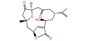 Sinulochmodin E